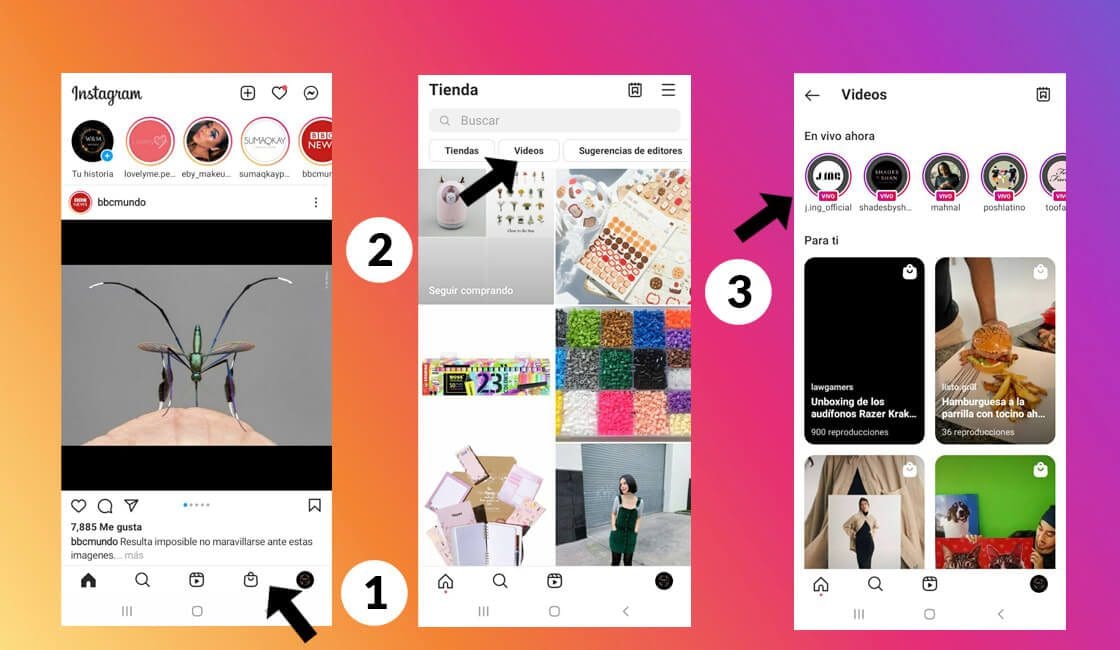 Pasos para ver lives en Instagram Shop Lives en Instagram Tienda