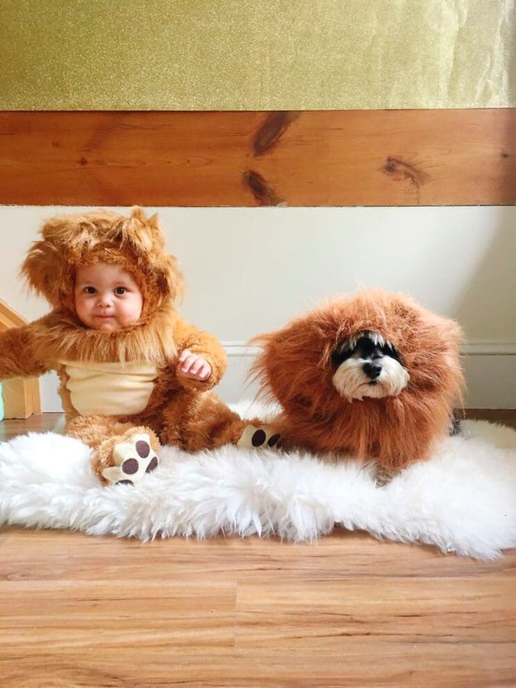 estos-ninos-con-sus-mascotas-son-todo-lo-que-halloween-necesita-10