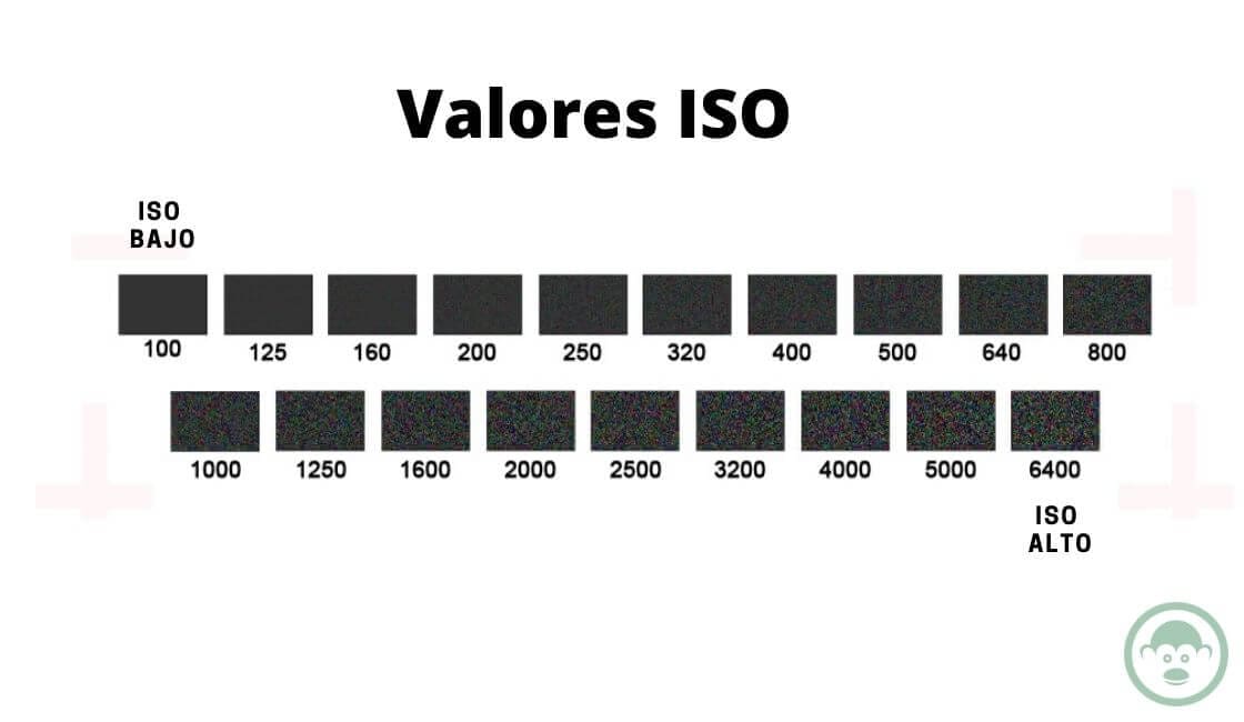 VALORES ISO