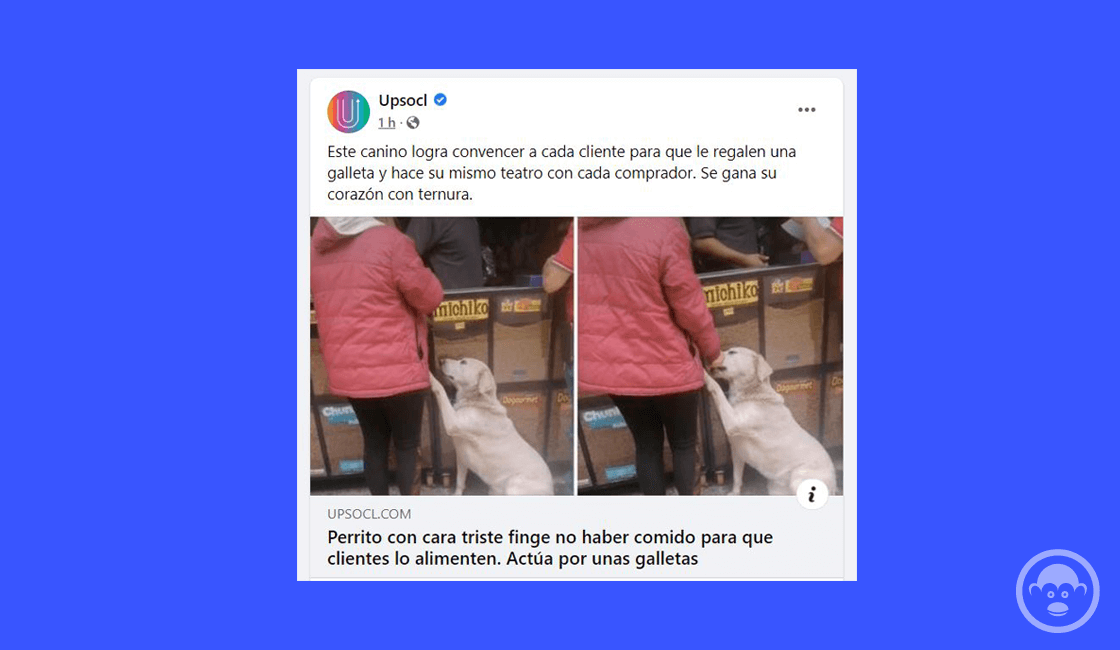 articulos categorías gramaticales articulos categorías gramaticales