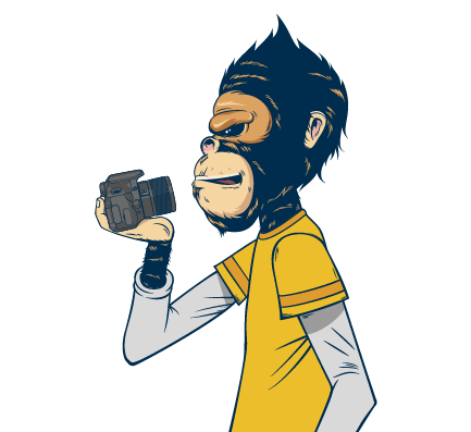 categorias fotografia