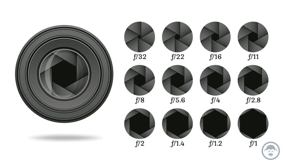 diafragma-medidas-en-f